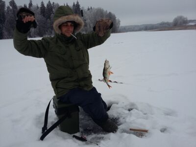 Eurasian perch, 0.4 kg