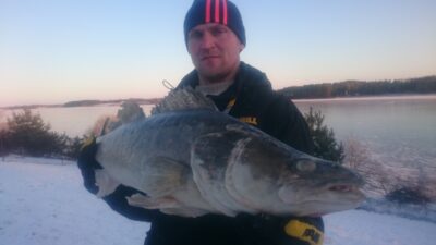 Pike perch, 6.3 kg — Dviragis