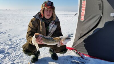 Burbot, 2.5 kg — Kuršių