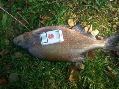 Carp bream, 3.2 kg — Ančia