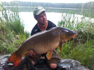 Mirror carp