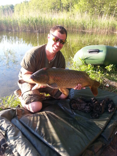 Mirror carp
