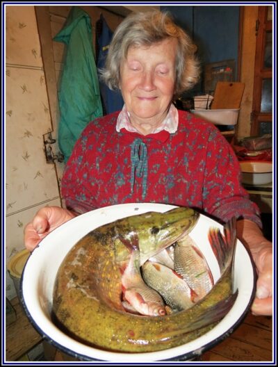 Northern Pike, 3.5 kg — Minija