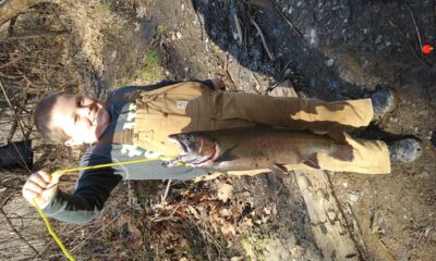 Lake trout, 2.7 kg
