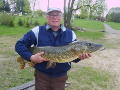 Northern Pike