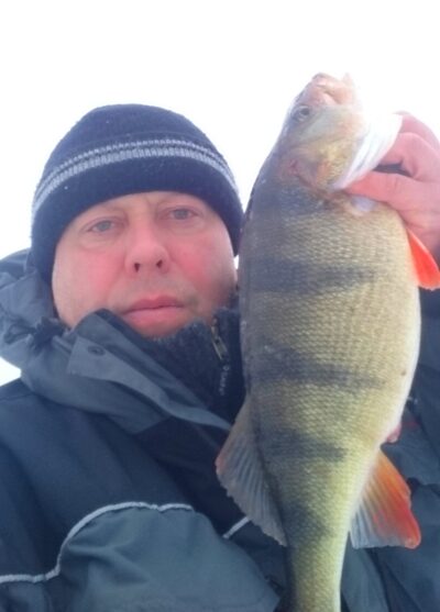 Eurasian perch, 1.3 kg — Šventas