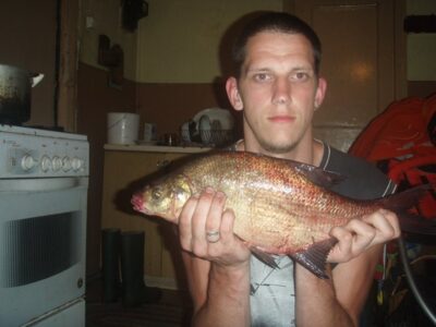 Carp bream, 1.2 kg — Lipšys