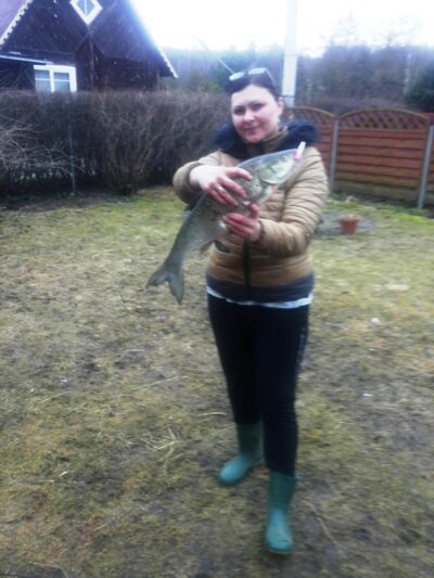 Asp, 2.3 kg — Neris River