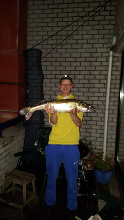 Pike perch, 4.6 kg