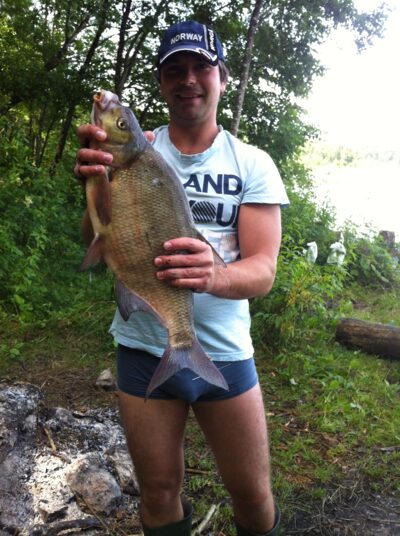 Carp bream — Baluošas