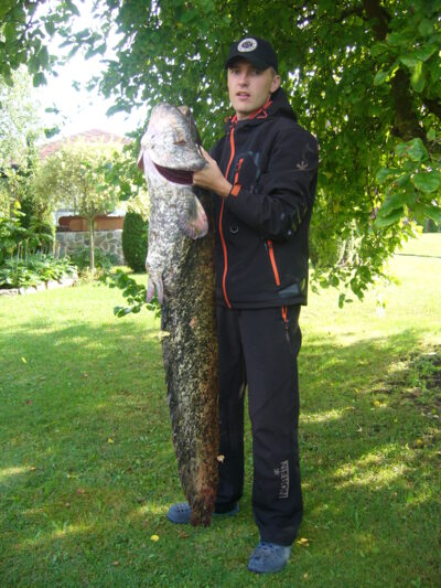 Wels catfish, 19.2 kg