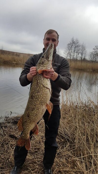 Northern Pike, 9.0 kg