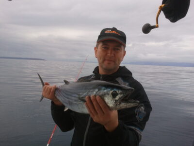 Oceanic bonito, 4.7 kg — Mediterranean Sea