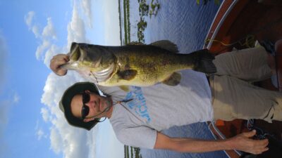 Largemouth Bass — Lake Kissimmee