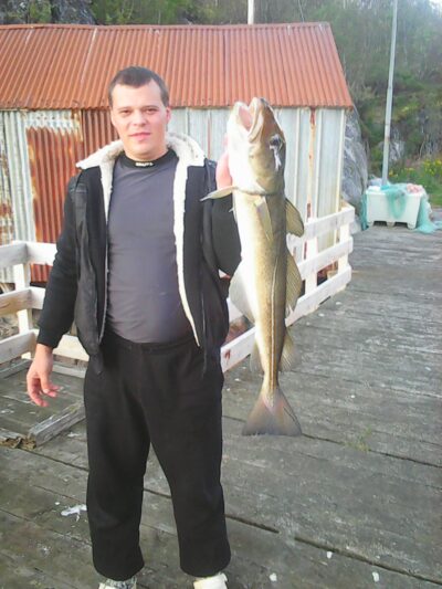 Atlantic cod