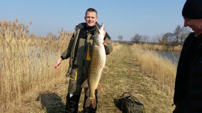 Northern Pike, 9.2 kg