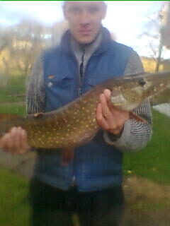 Northern Pike, 3.9 kg — Paežerių