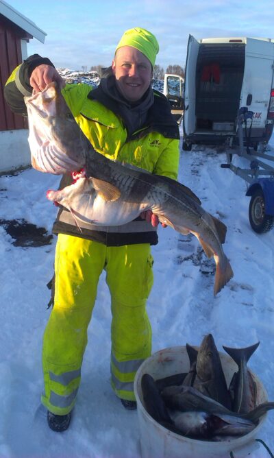 Atlantic cod — Steirapollen