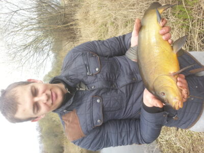 Tench, 2.0 kg — Nevėžis