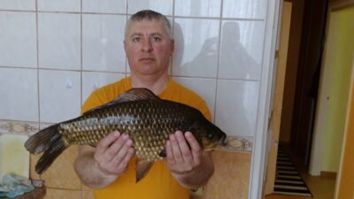 Sidabrinis karosas, 2.2 kg — Poškonių