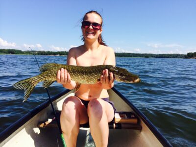 Northern Pike, 3.7 kg