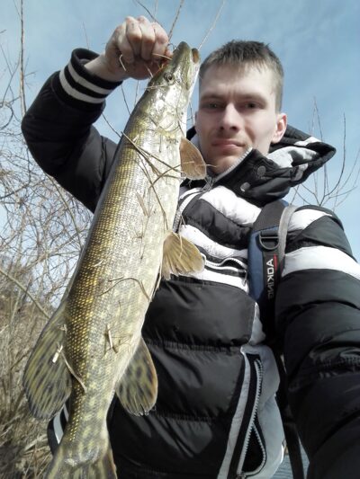 Northern Pike, 1.7 kg