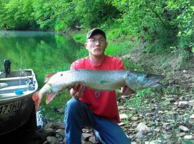 Muskellunge, 7.5 kg