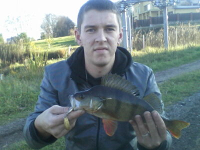 Eurasian perch, 0.6 kg