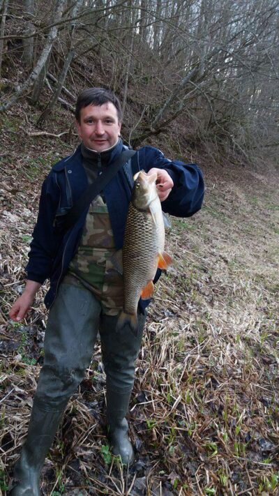 chub, 2.1 kg — Mēmele