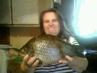 Prussian carp, 2.4 kg