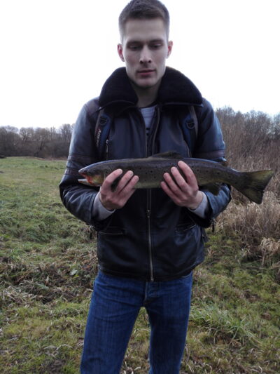 Brown Trout, 1.4 kg