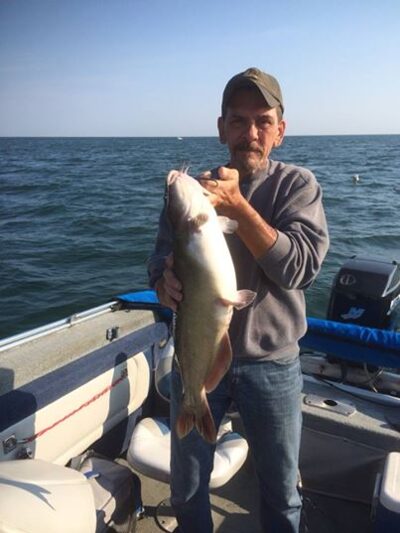 Channel catfish