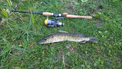 Northern Pike ×2