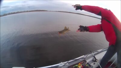 Northern Pike