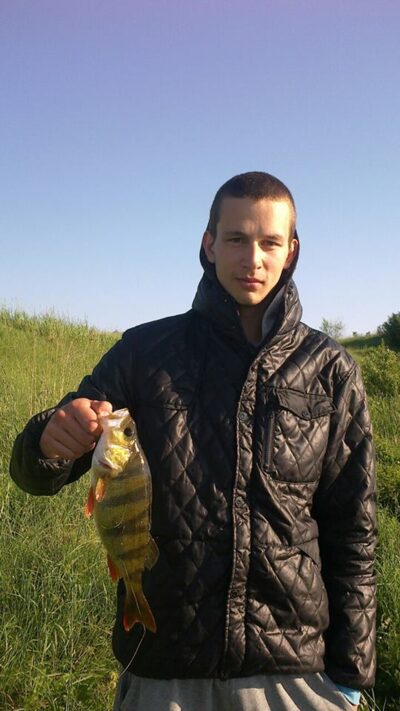 Eurasian perch