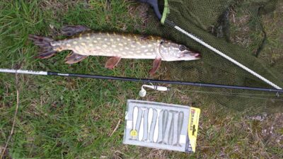 Northern Pike — Juodės IV-asis