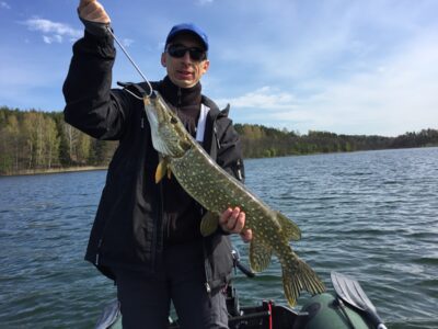 Northern Pike, 3.4 kg — Monaitis