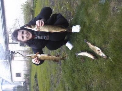 Northern Pike ×4 — Ilgis
