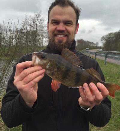 Eurasian perch, 0.7 kg — Ubiškės