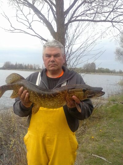 Northern Pike, 3.2 kg