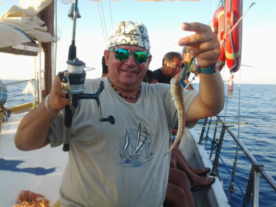 Dainty dragonet, 0.2 kg — Mediterranean Sea