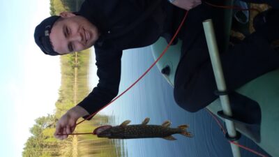 Northern Pike, 1.3 kg — Lynas