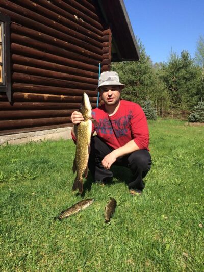 Northern Pike ×3 — Galuonis