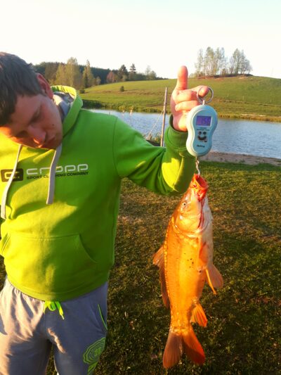 Carp, 1.6 kg