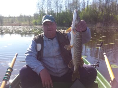 Northern Pike, 2.4 kg