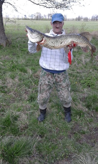 Northern Pike, 10.7 kg — Minija