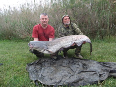 Wels catfish, 31.8 kg — Riu Ebre
