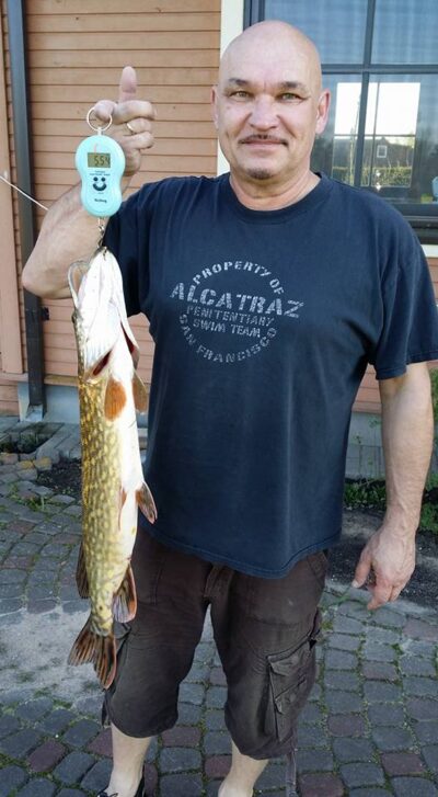 Northern Pike, 5.5 kg