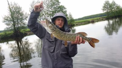 Northern Pike ×5