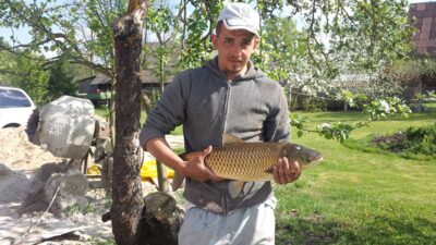 Grass carp, 8.5 kg
